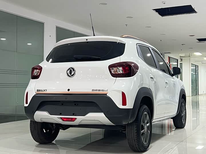 Dongfeng Nammi Nano EX1 2022 2022款 追风版 331KM 进阶型