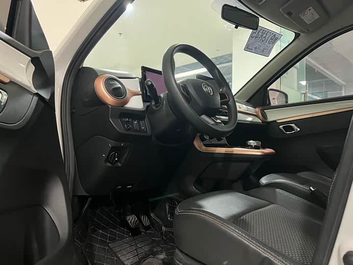 Dongfeng Nammi Nano EX1 2022 2022款 追风版 331KM 进阶型