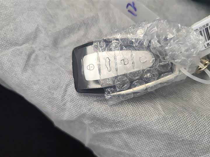 Geely Atlas 2026 2026款 1.5TD 向往