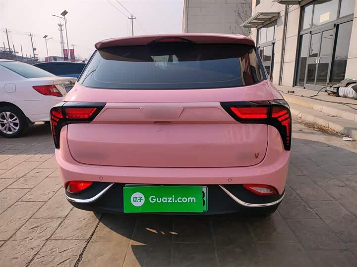 Hozon V 2022 2022款 潮 400 Lite 粉色定制款