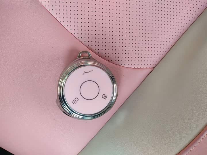 Hozon V 2022 2022款 潮 400 Lite 粉色定制款