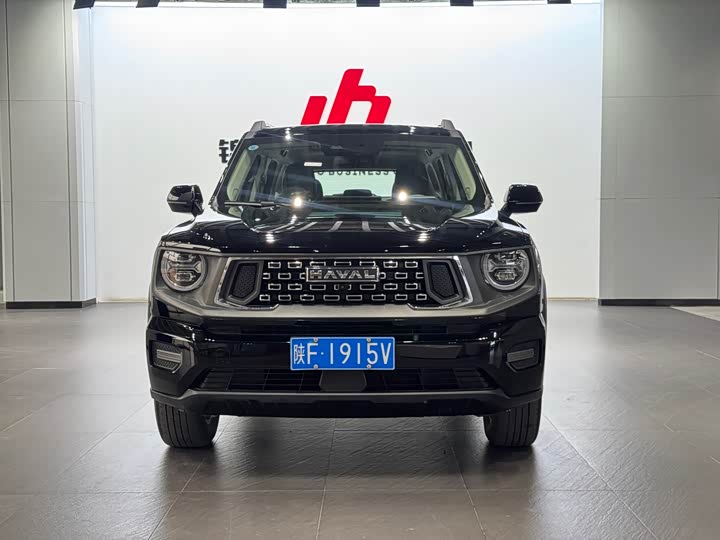 2023 Haval H-Dog