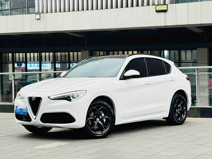 Alfa Romeo Stelvio 2021 2021款 2.0T 280HP 豪华运动版