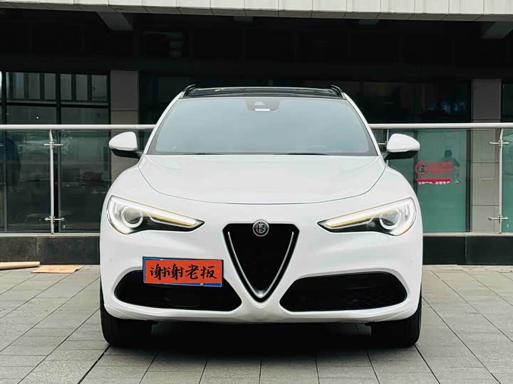 Alfa Romeo Stelvio 2021 2021款 2.0T 280HP 豪华运动版