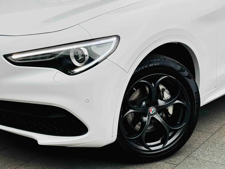 Alfa Romeo Stelvio 2021 2021款 2.0T 280HP 豪华运动版