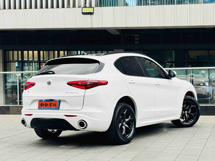 Alfa Romeo Stelvio 2021 2021款 2.0T 280HP 豪华运动版