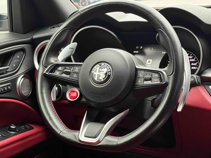 Alfa Romeo Stelvio 2021 2021款 2.0T 280HP 豪华运动版