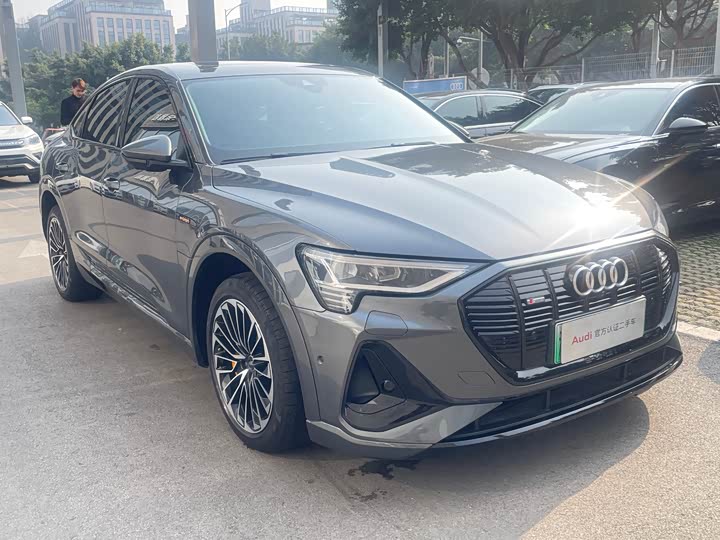 Audi e-tron 2022 2022款 Sportback 55 quattro 豪华型