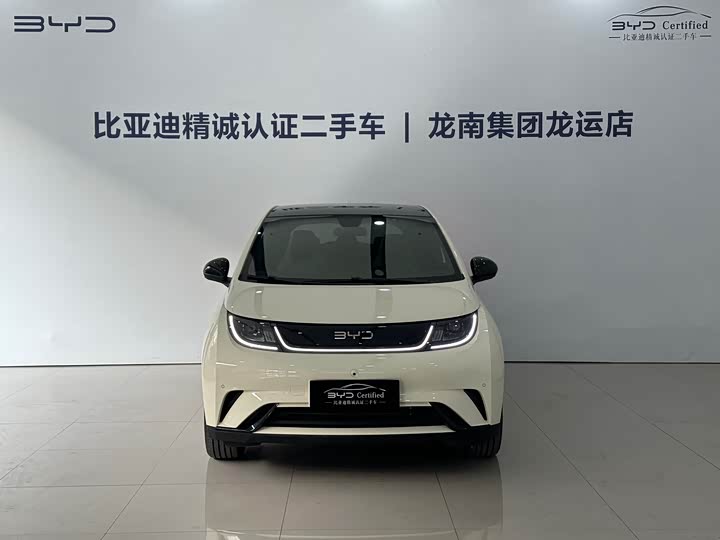 BYD Dolphin 2025 2025款 420km 时尚版