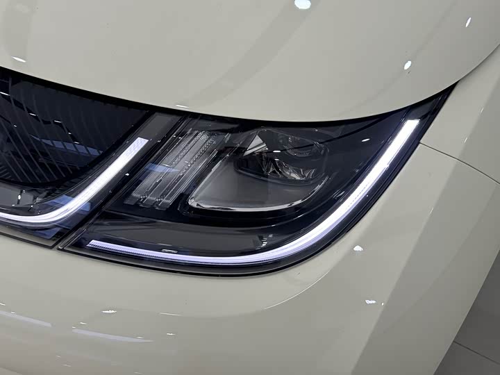 BYD Dolphin 2025 2025款 420km 时尚版