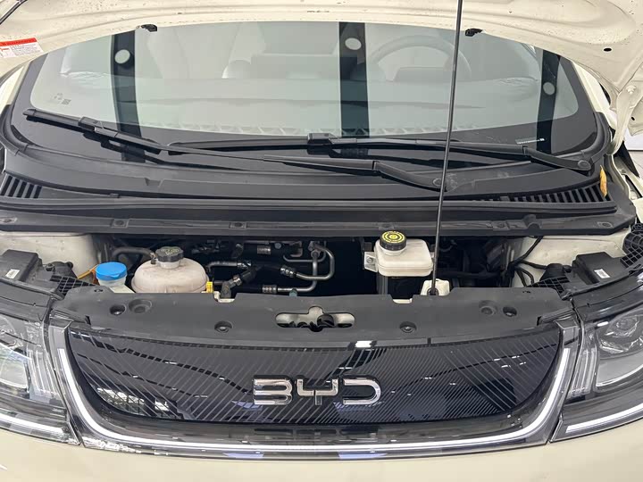 BYD Dolphin 2025 2025款 420km 时尚版