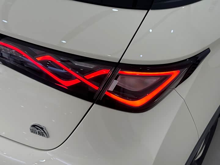 BYD Dolphin 2025 2025款 420km 时尚版