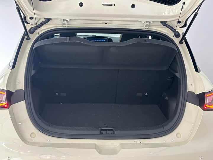 BYD Dolphin 2025 2025款 420km 时尚版