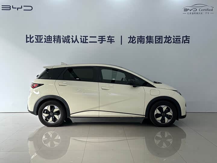 BYD Dolphin 2025 2025款 420km 时尚版
