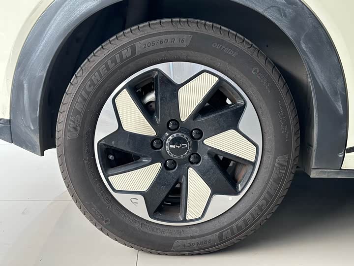 BYD Dolphin 2025 2025款 420km 时尚版