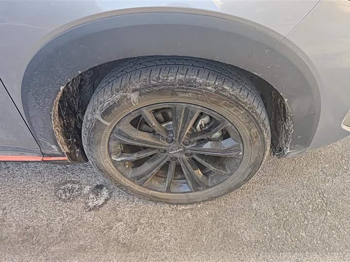 Haval H6S 2022 2022款 1.5T DHT悦跑版