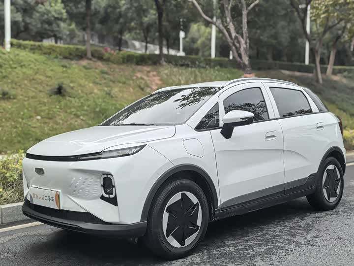 Geely Geometry E Firefly 2024 2024款 301km 星光