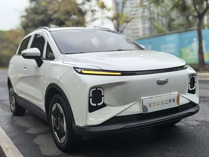 Geely Geometry E Firefly 2024 2024款 301km 星光