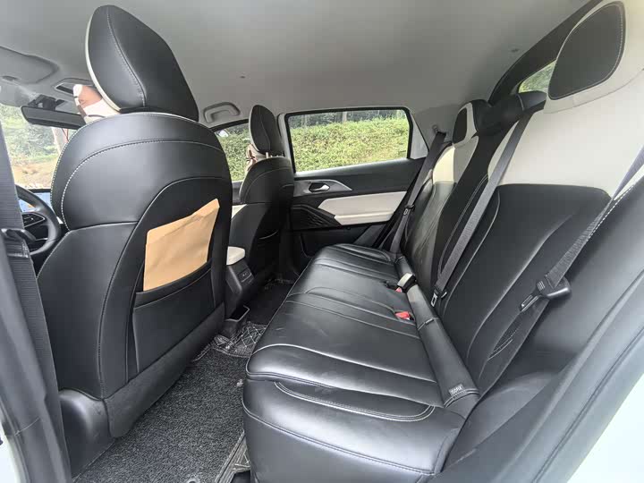 Geely Geometry E Firefly 2024 2024款 301km 星光