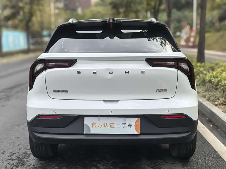 Geely Geometry E Firefly 2024 2024款 301km 星光