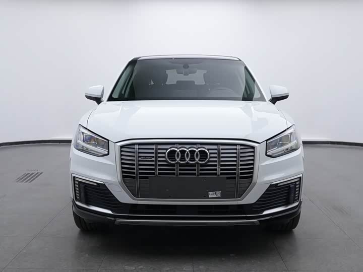 Audi Q2L e-tron 2019 2019款 Q2L e-tron 纯电智享型