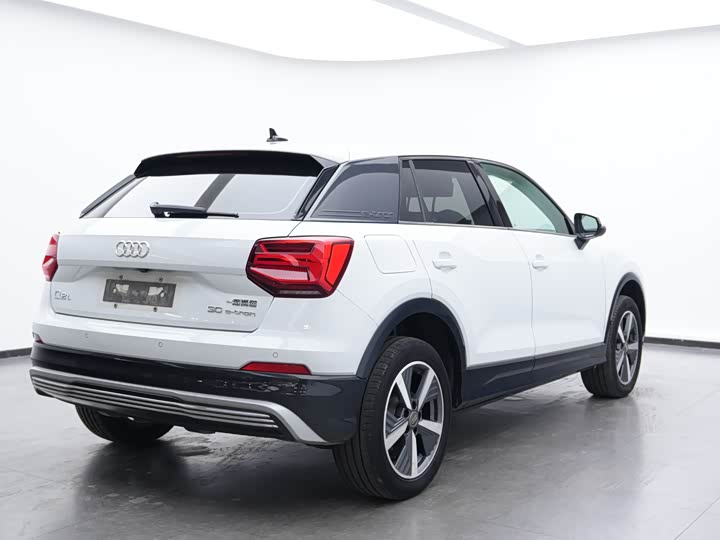 Audi Q2L e-tron 2019 2019款 Q2L e-tron 纯电智享型