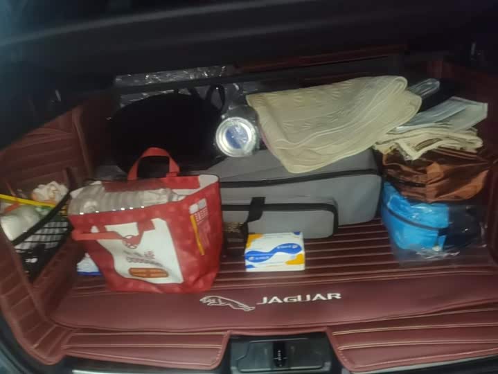 Jaguar F-Pace 2024 2024款 P250 R-Dynamic SE