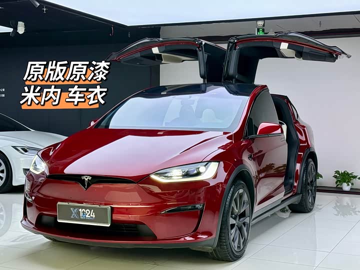Tesla Model X 2023 2023款 双电机全轮驱动版