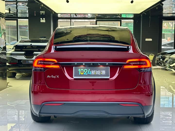 Tesla Model X 2023 2023款 双电机全轮驱动版
