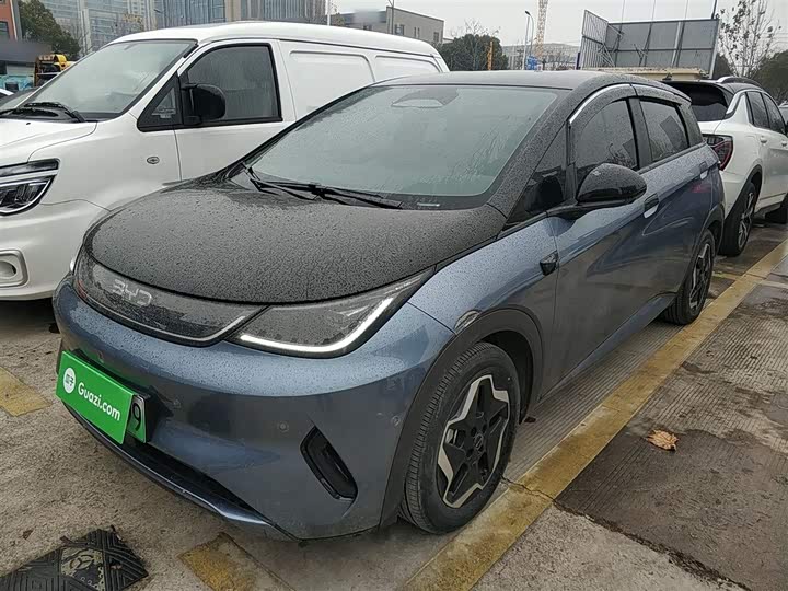 BYD Dolphin 2025 2025款 智驾版 420km 自由版