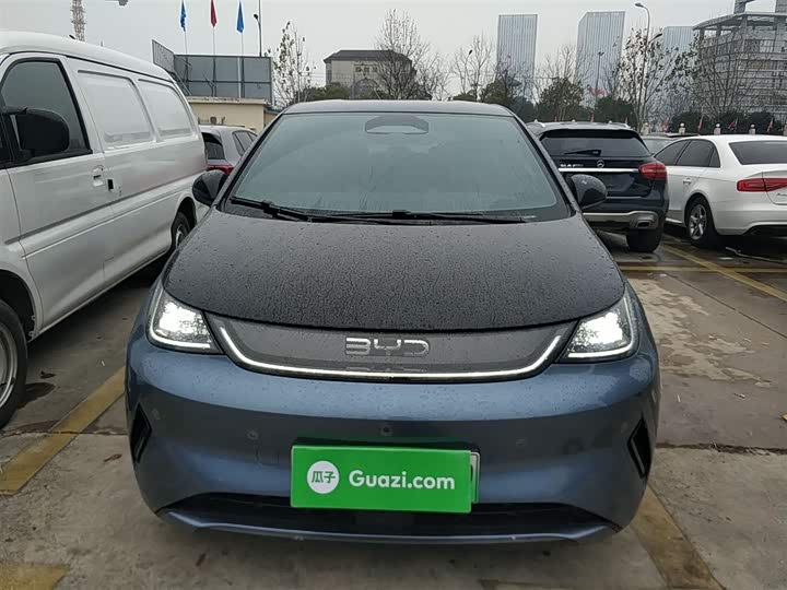 BYD Dolphin 2025 2025款 智驾版 420km 自由版