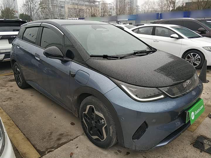 BYD Dolphin 2025 2025款 智驾版 420km 自由版