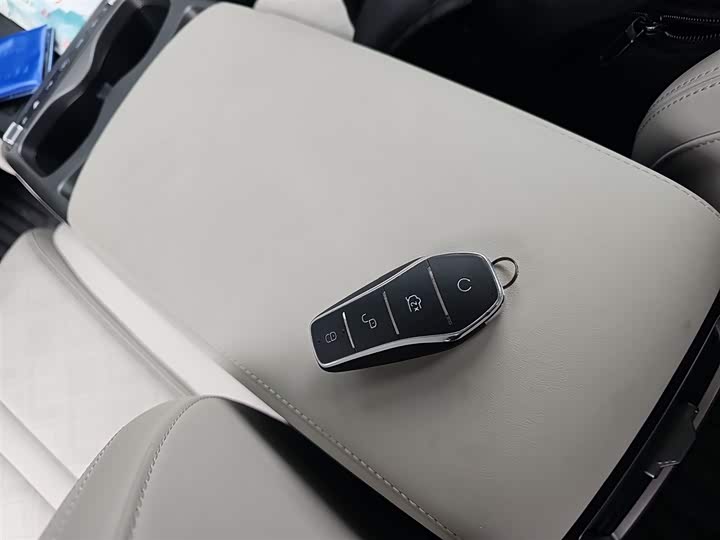 BYD Yuan Up 2025 2025款 智驾版 401KM 领先型