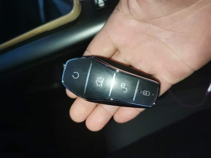 BYD Qin Plus 2025 2025款 DM-i 智驾版 128KM进取型