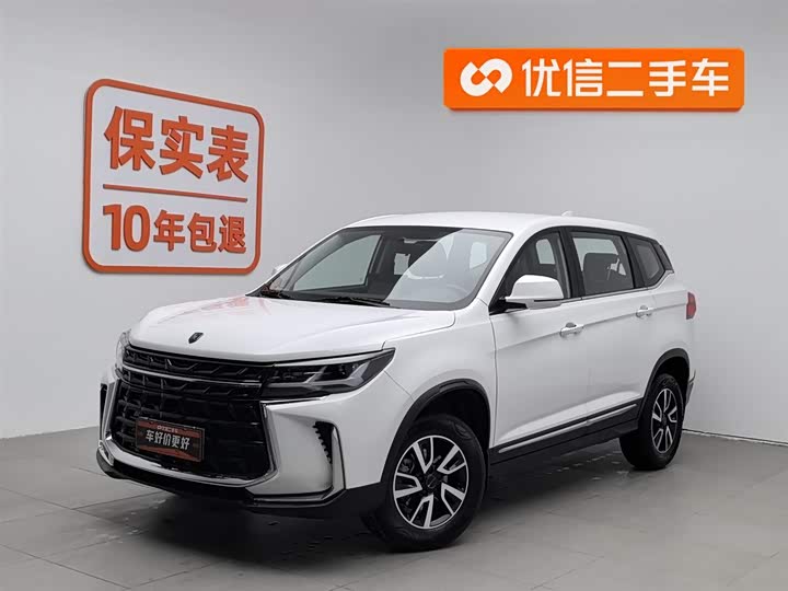 2024 Dongfeng Forthing T5