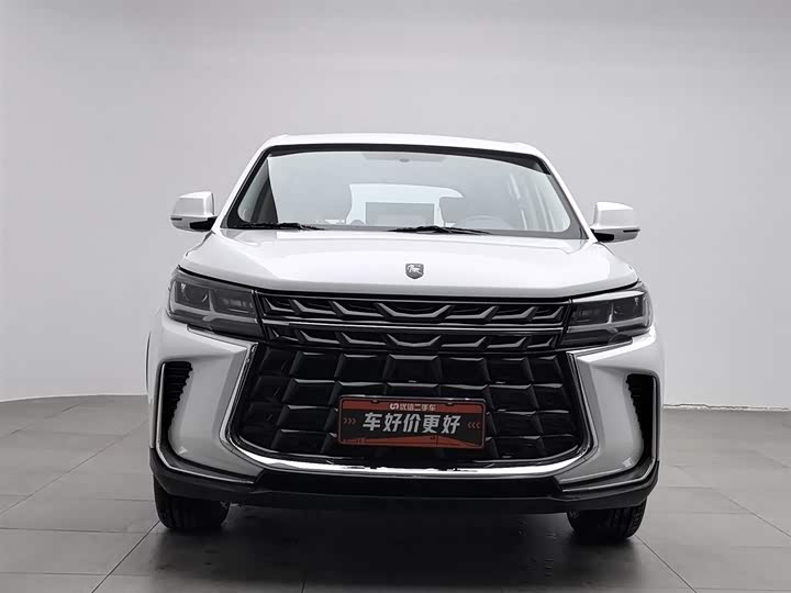 2024 Dongfeng Forthing T5