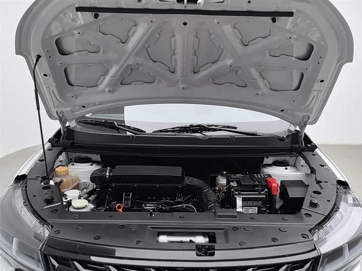 Dongfeng Forthing T5 2024 2024款 盛世款 1.6L 手动寻梦版 五座