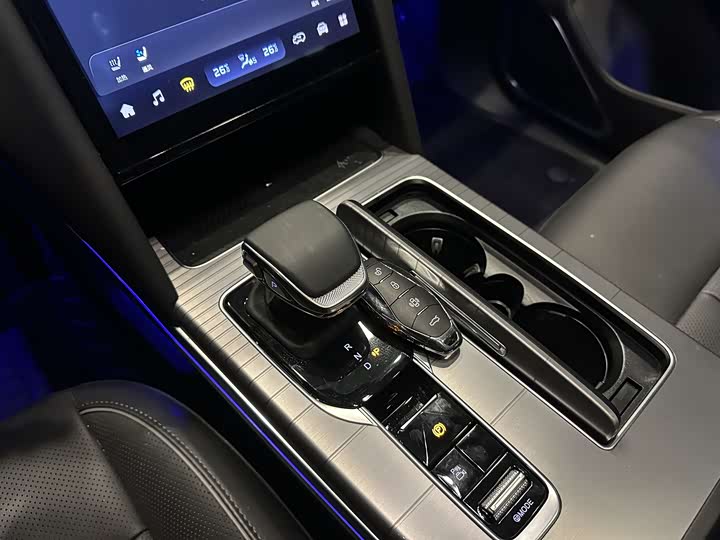 Hongqi HS7 2024 2024款 2.0T 自动四驱旗享版 七座