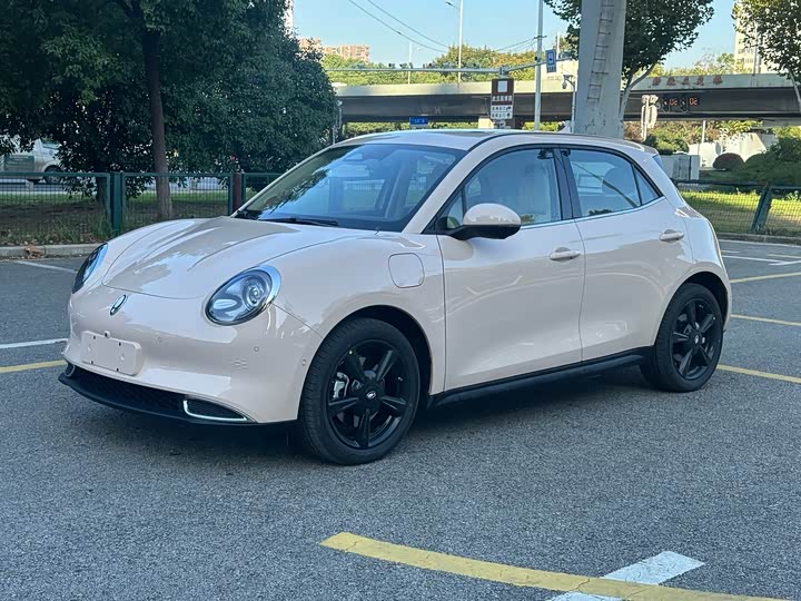 Ora Good Cat (03) 2024 2024款 401km 豪华型