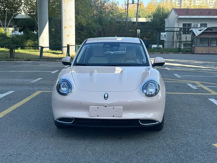 Ora Good Cat (03) 2024 2024款 401km 豪华型