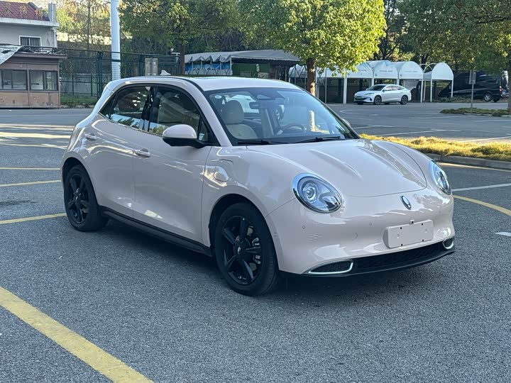 Ora Good Cat (03) 2024 2024款 401km 豪华型