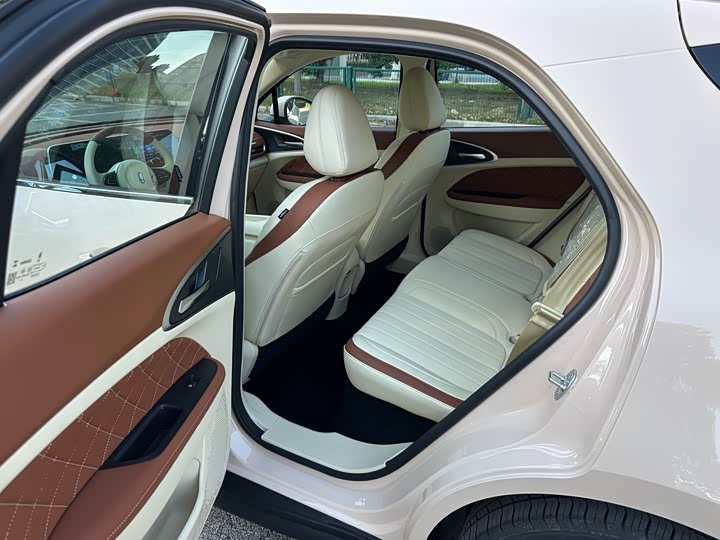 Ora Good Cat (03) 2024 2024款 401km 豪华型