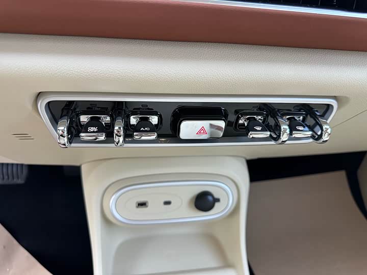 Ora Good Cat (03) 2024 2024款 401km 豪华型