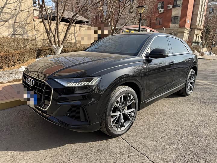 Audi Q8 2022 2022款 55 TFSI 豪华动感型