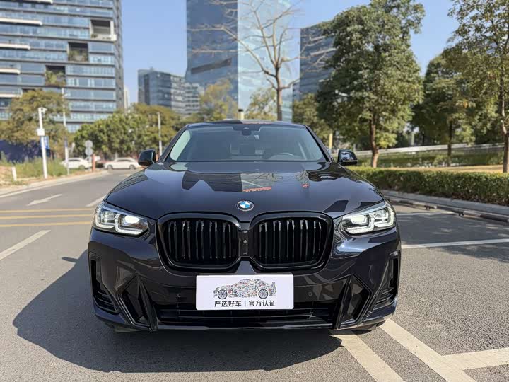 BMW X4 2022 2022款 xDrive 30i M运动套装