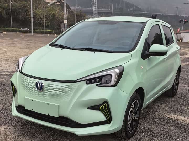 2022 Changan BenBen E-Star