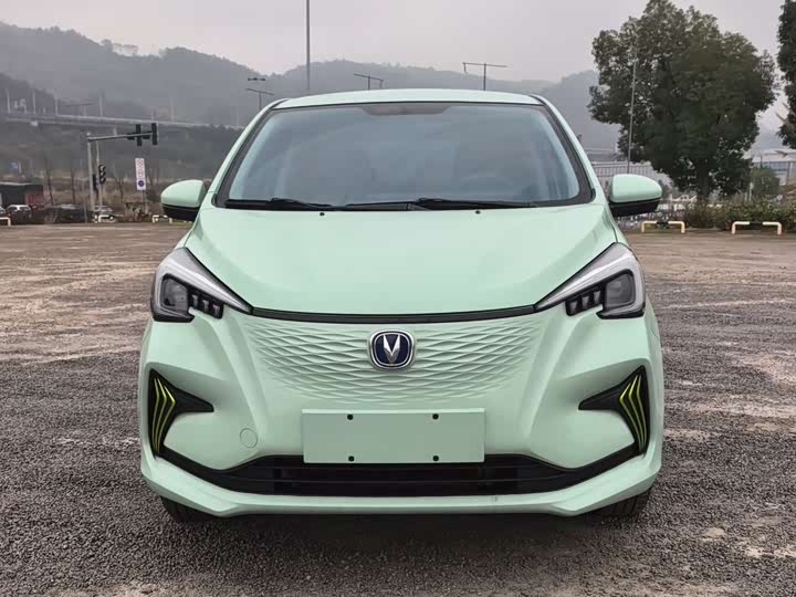 2022 Changan BenBen E-Star