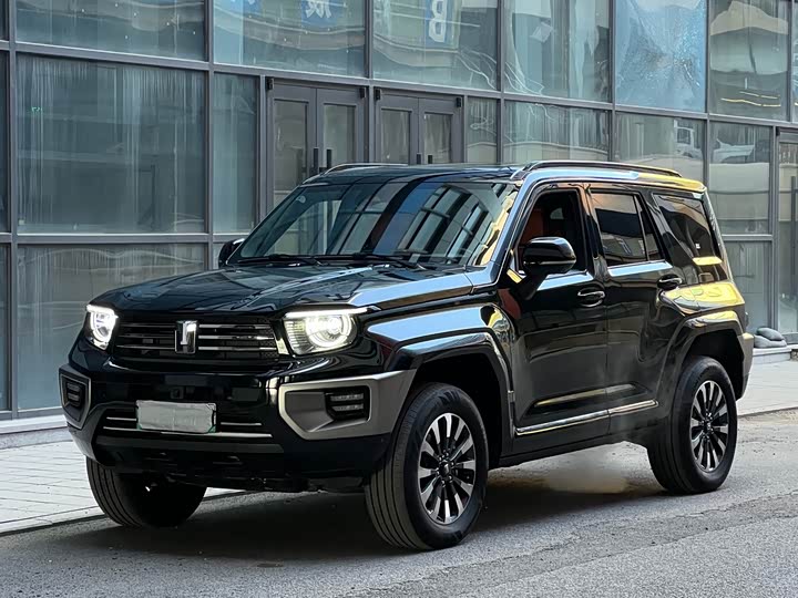 Tank 700 Hybrid 2024 2024款 Hi4-T 极境版