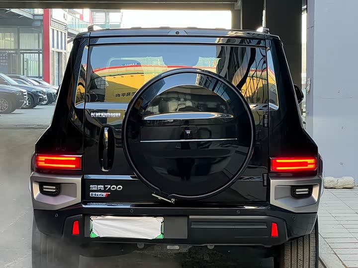 Tank 700 Hybrid 2024 2024款 Hi4-T 极境版