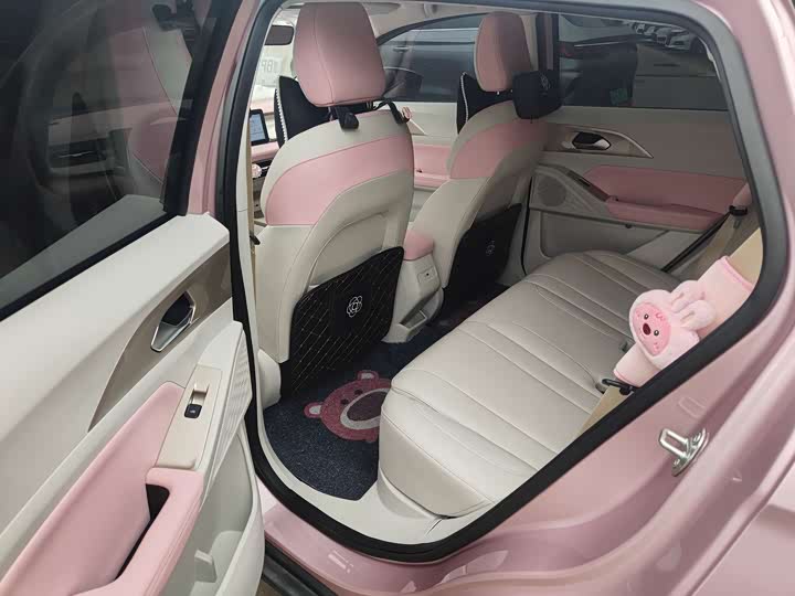 Geely Geometry E Firefly 2024 2024款 301km 星光